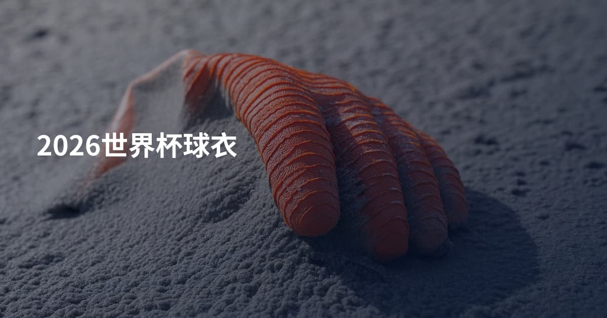 2026世界杯球衣