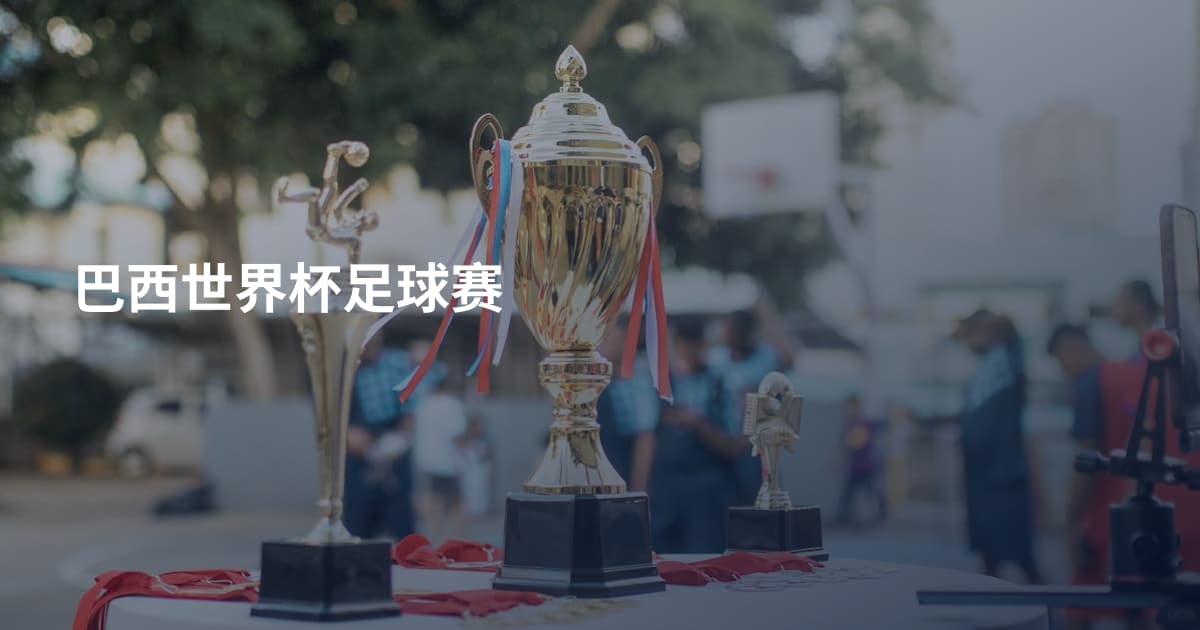 巴西世界杯足球赛