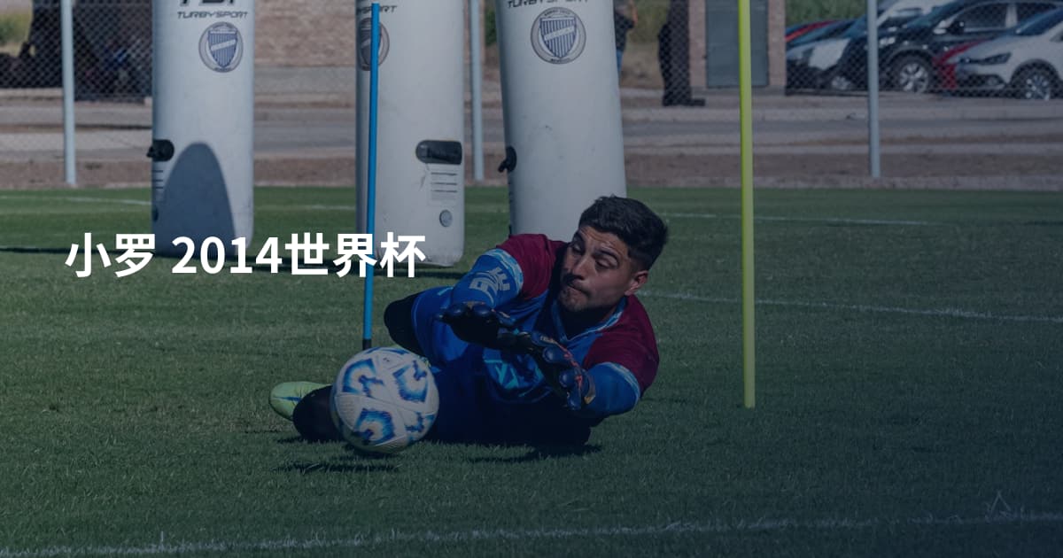 小罗 2014世界杯