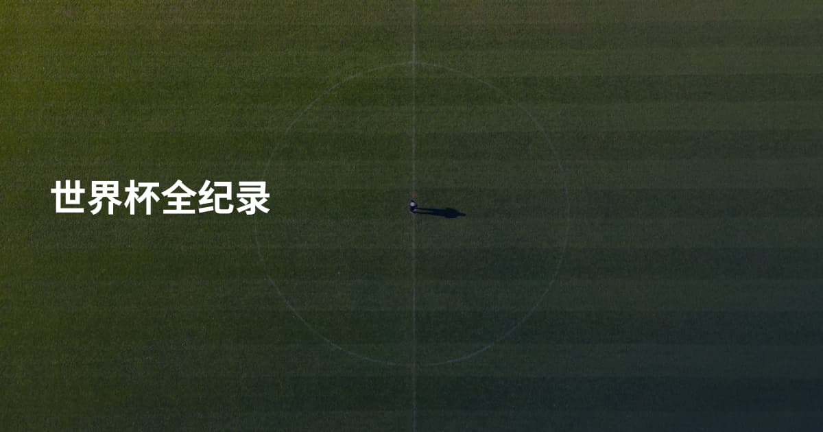 世界杯全纪录