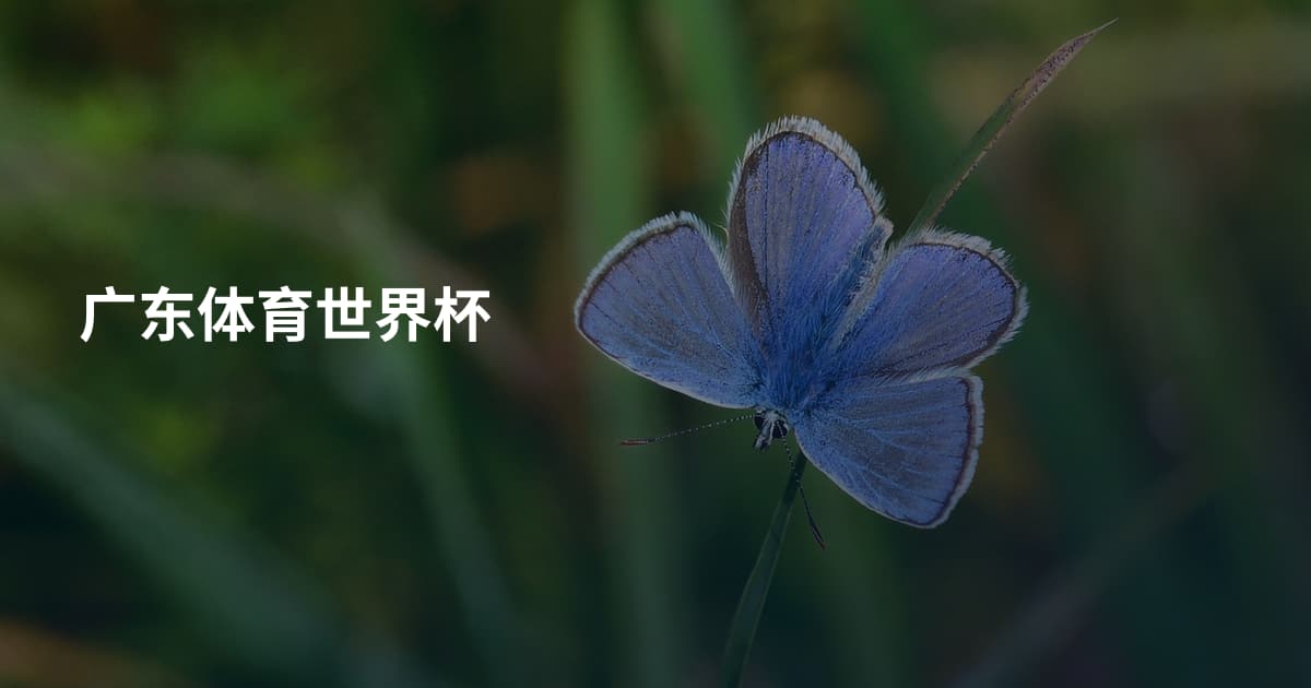 广东体育世界杯