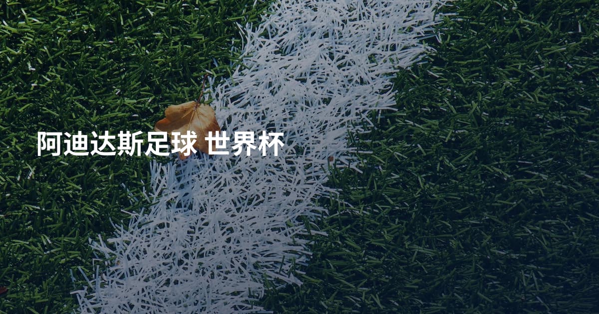 阿迪达斯足球 世界杯