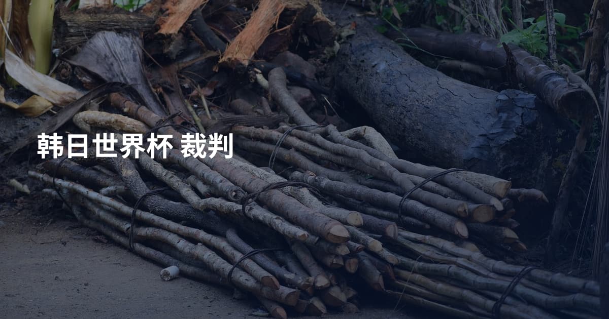 韩日世界杯 裁判