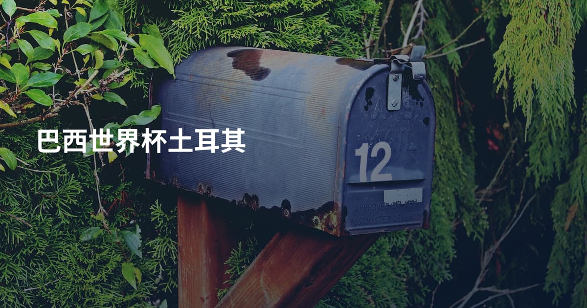 巴西世界杯土耳其