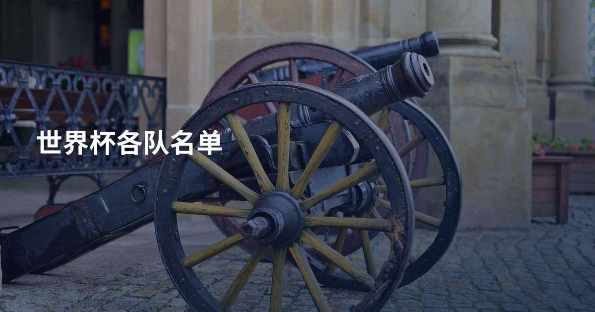 世界杯各队名单