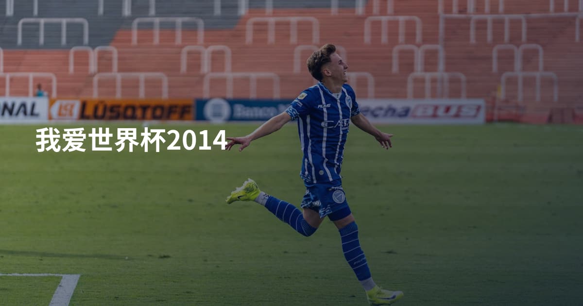 我爱世界杯2014