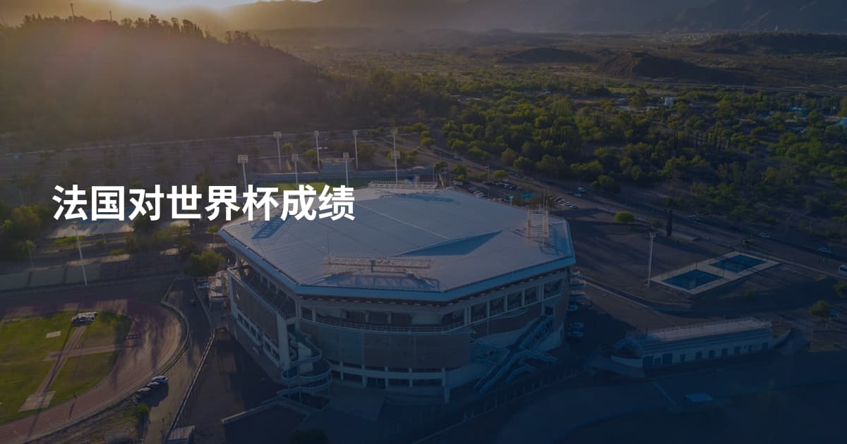 法国对世界杯成绩