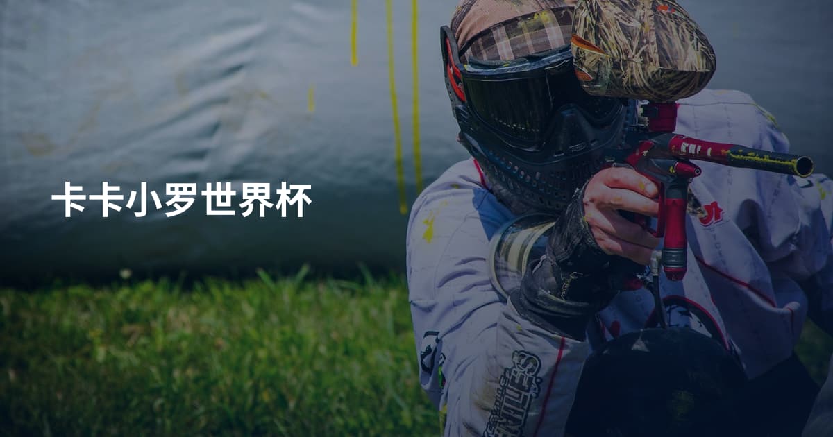 卡卡小罗世界杯