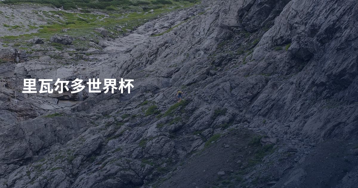 里瓦尔多世界杯