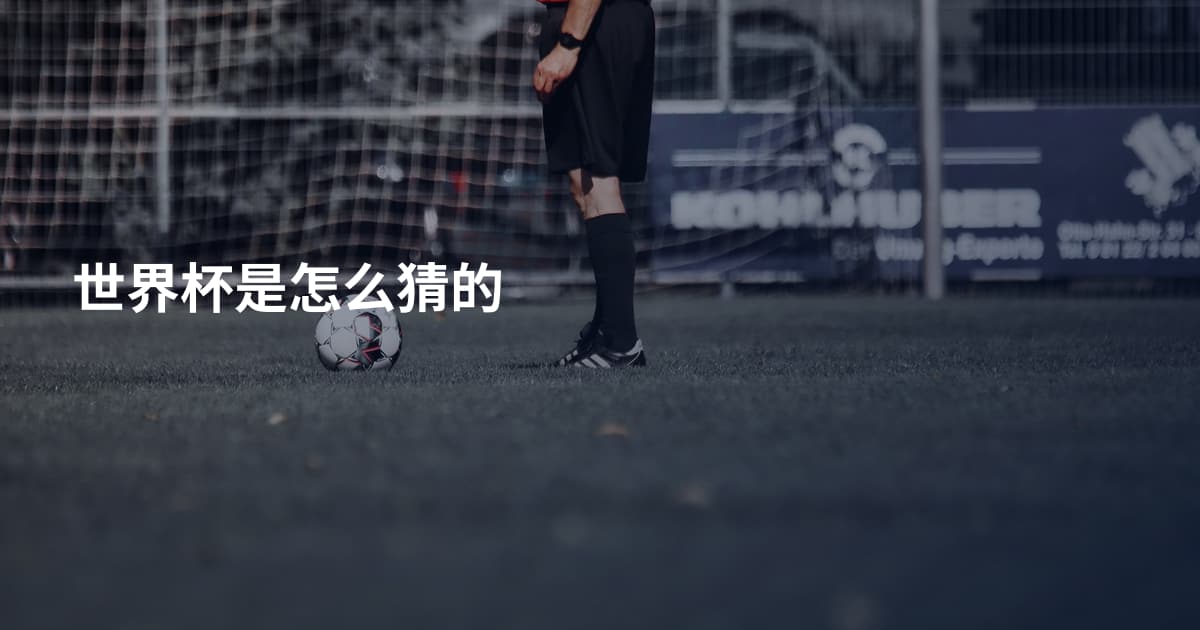 世界杯是怎么猜的