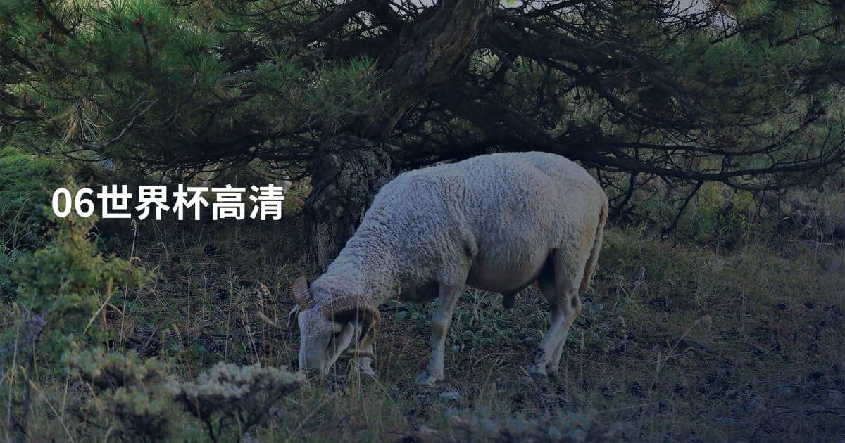 06世界杯高清