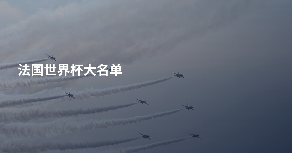 法国世界杯大名单