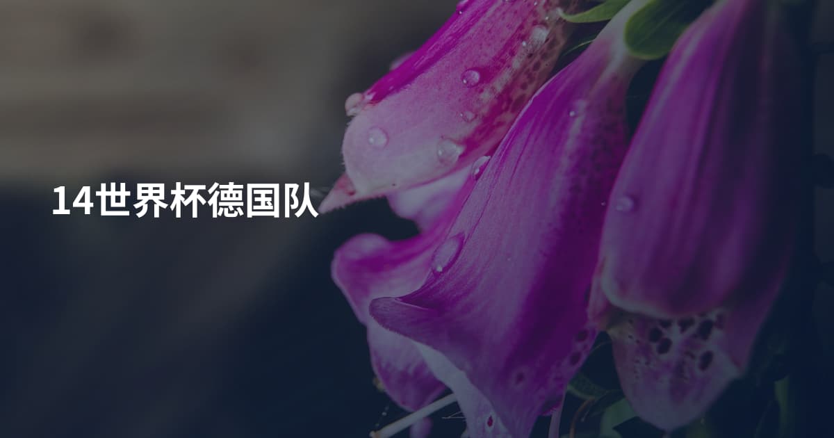 14世界杯德国队