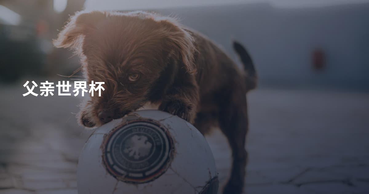 父亲世界杯