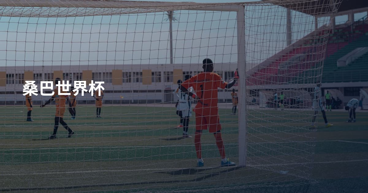 桑巴世界杯