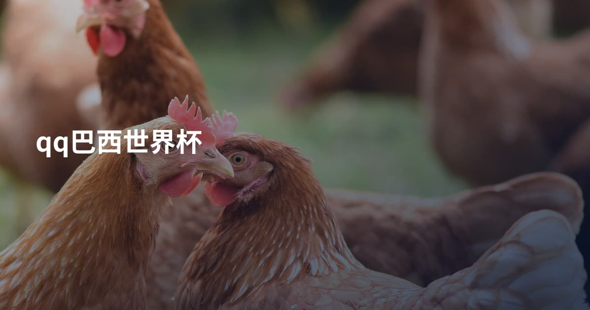 qq巴西世界杯