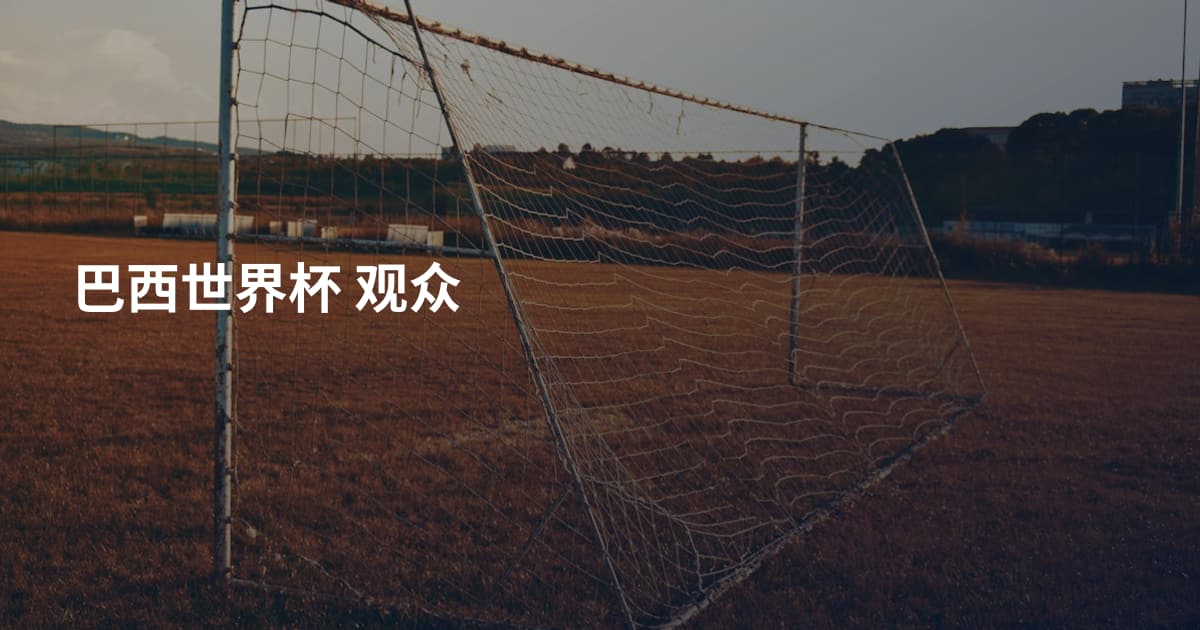巴西世界杯 观众