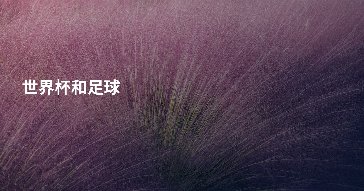 世界杯和足球