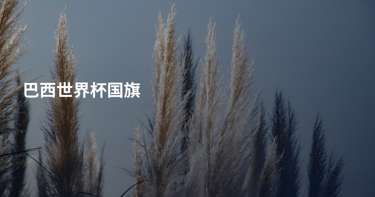 巴西世界杯国旗