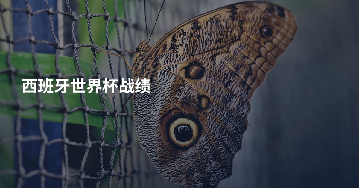 西班牙世界杯战绩