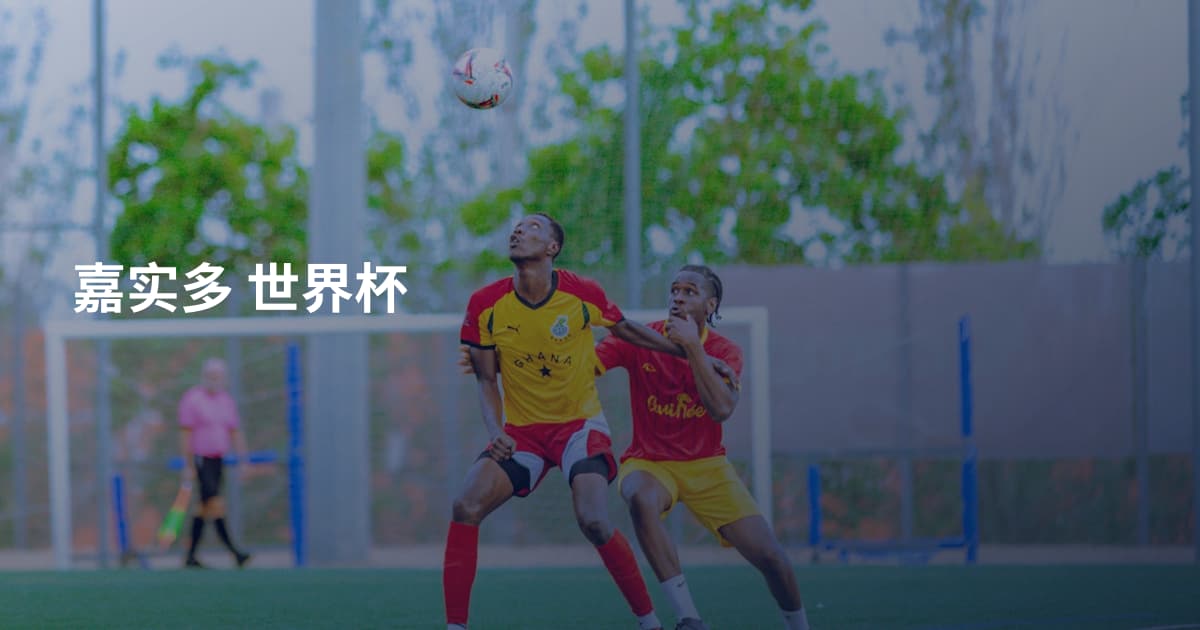 嘉实多 世界杯