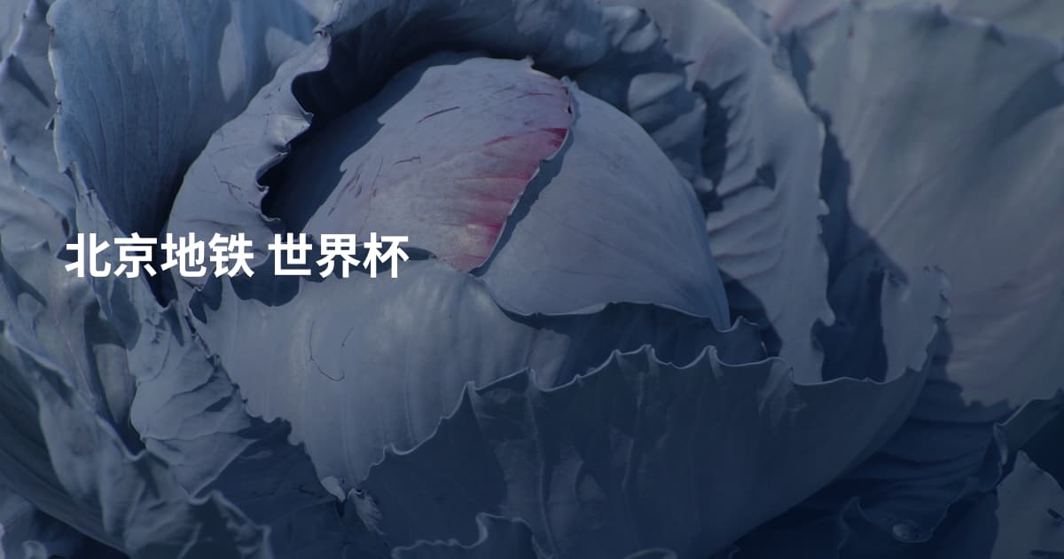 北京地铁 世界杯