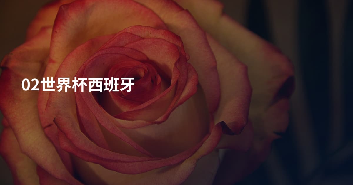02世界杯西班牙