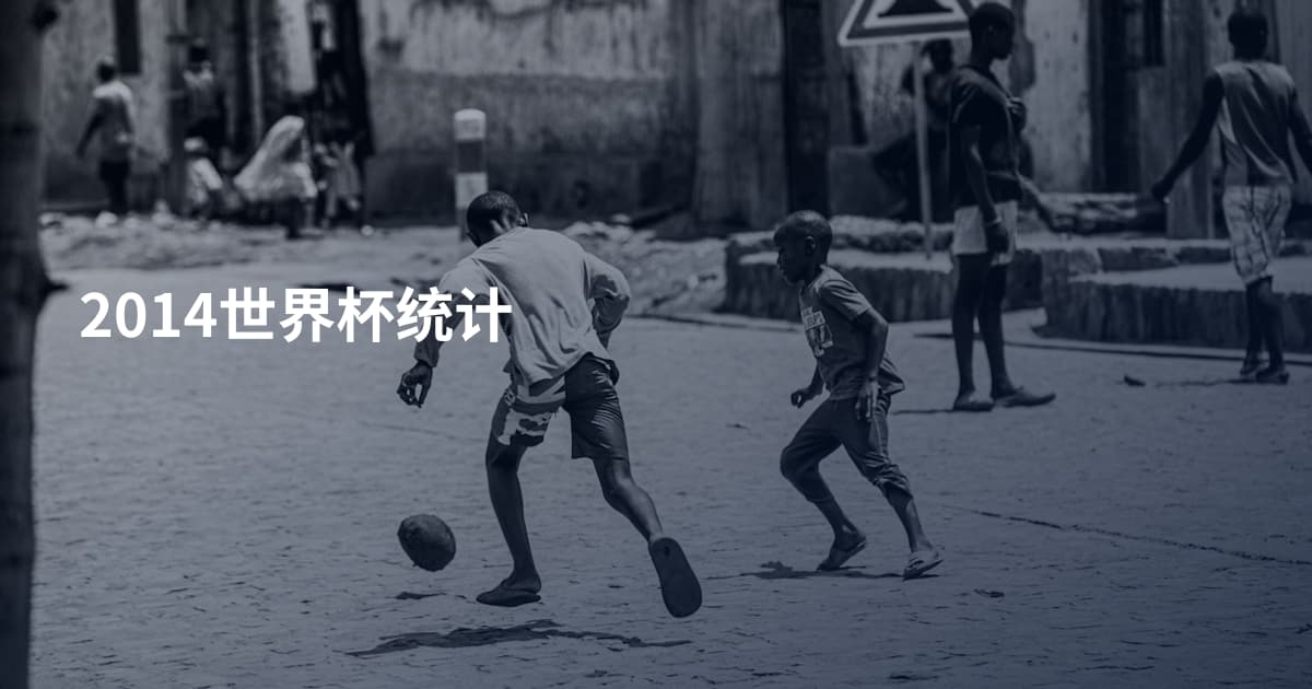 2014世界杯统计
