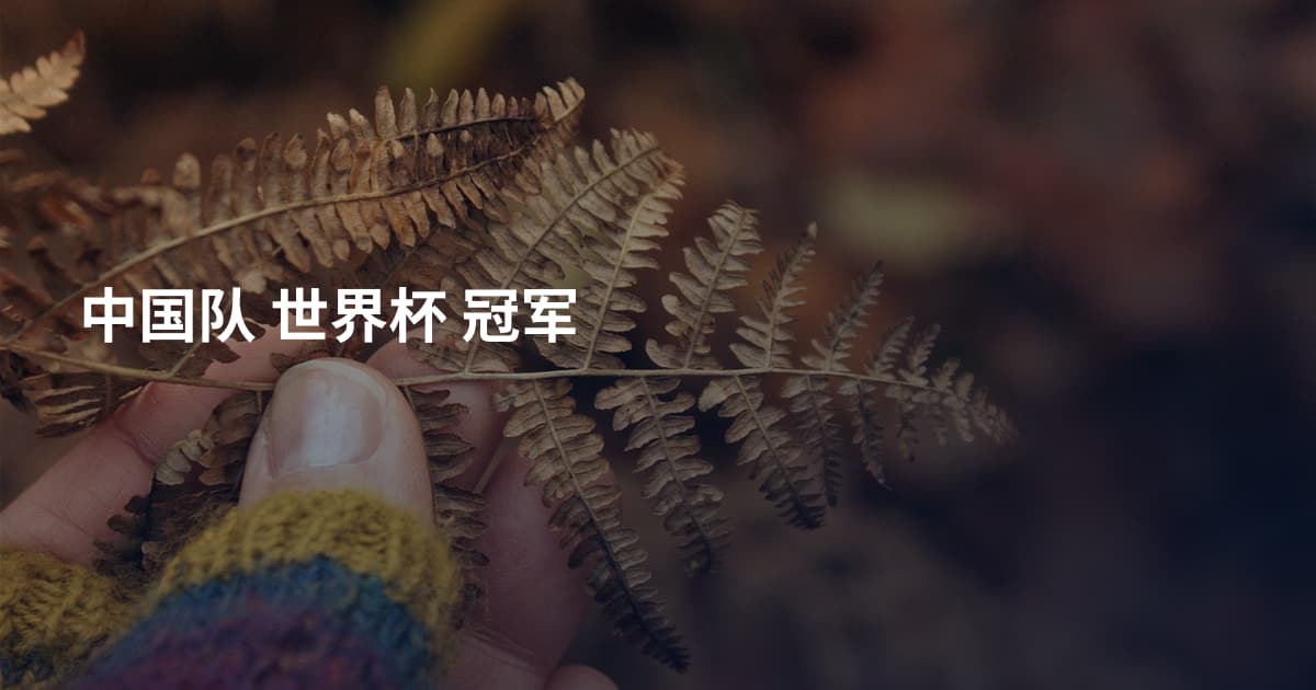 中国队 世界杯 冠军