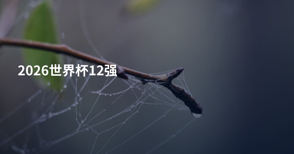 2026世界杯12强
