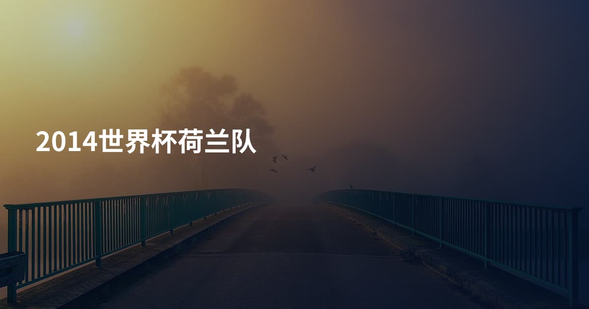 2014世界杯荷兰队