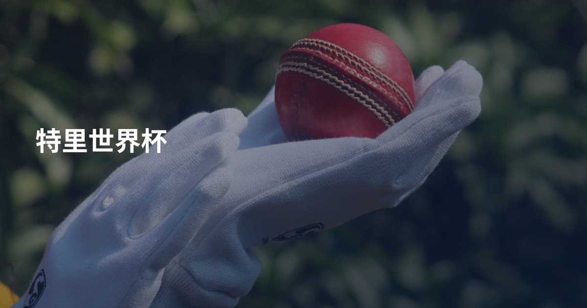 特里世界杯