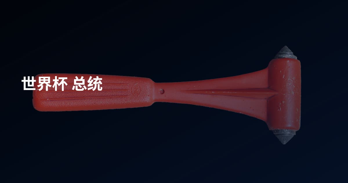 世界杯 总统