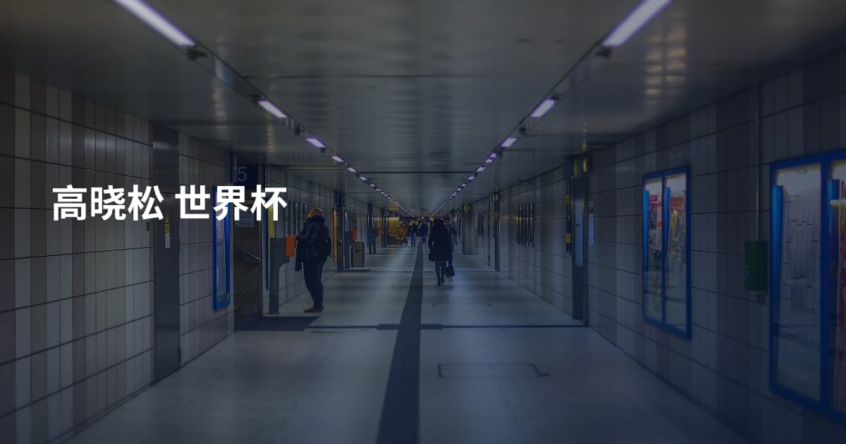 高晓松 世界杯