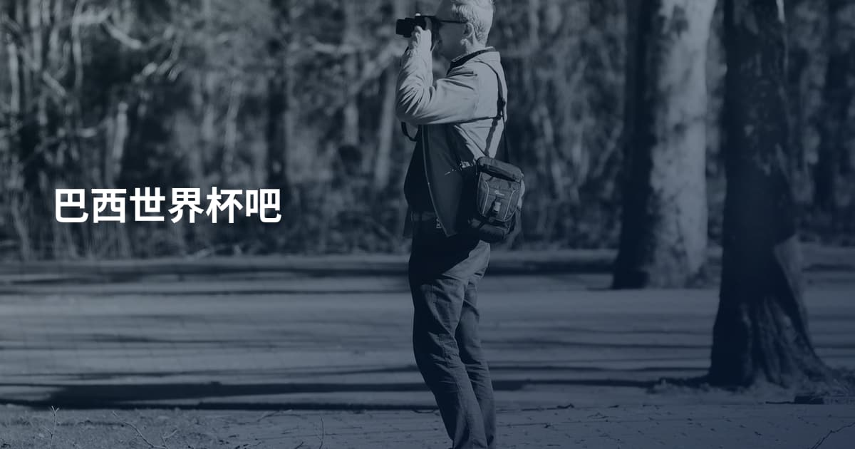 巴西世界杯吧