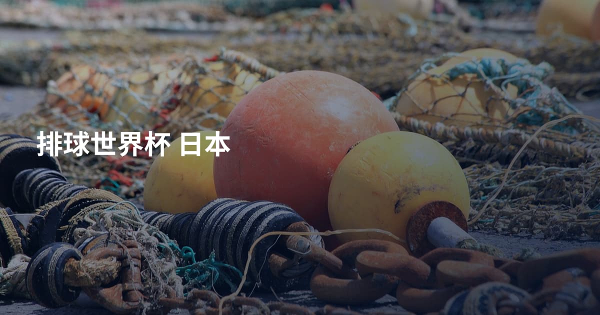 排球世界杯 日本