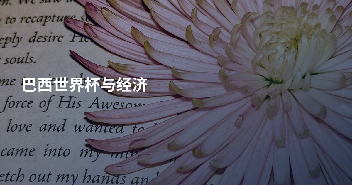巴西世界杯与经济