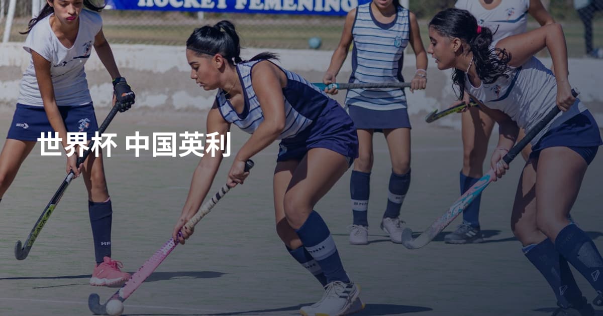 世界杯 中国英利