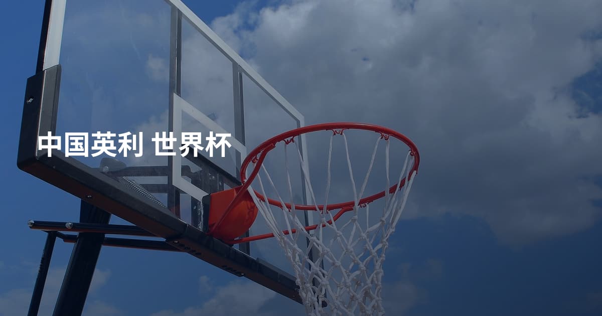 中国英利 世界杯