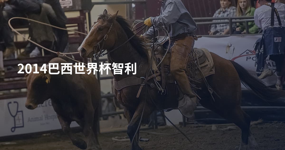 2014巴西世界杯智利