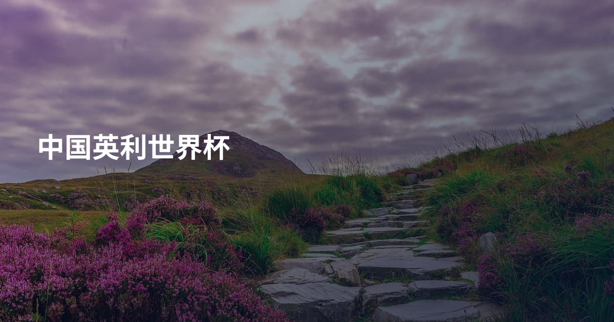 中国英利世界杯