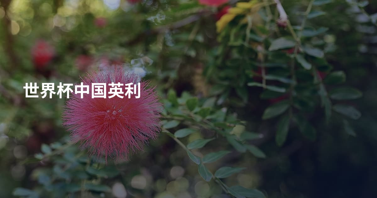 世界杯中国英利