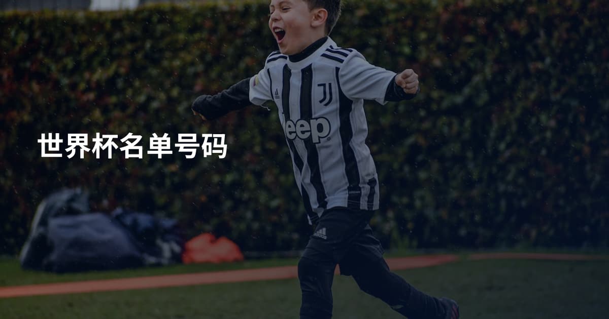 世界杯名单号码