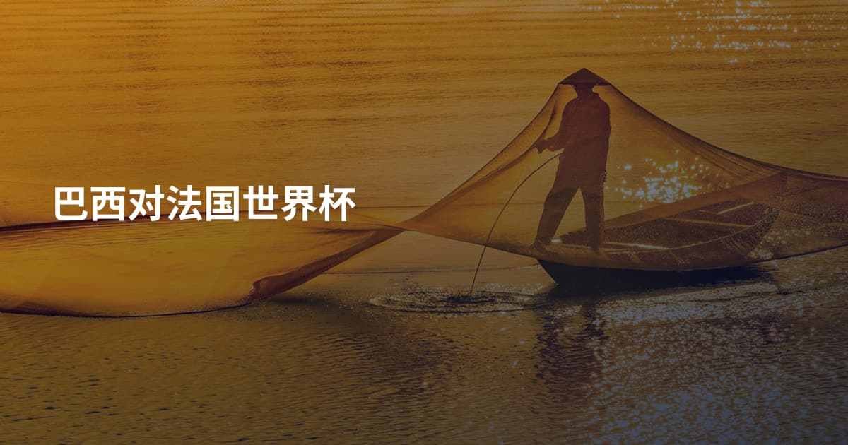巴西对法国世界杯