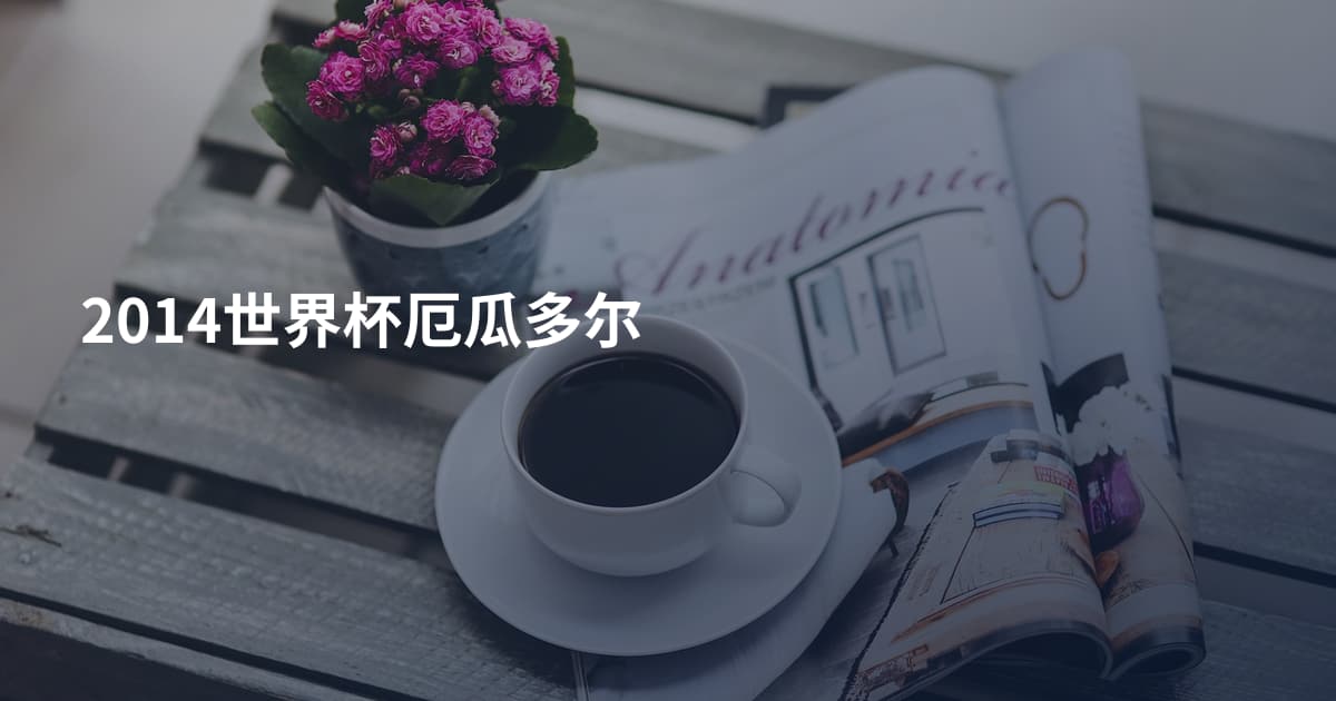 2014世界杯厄瓜多尔