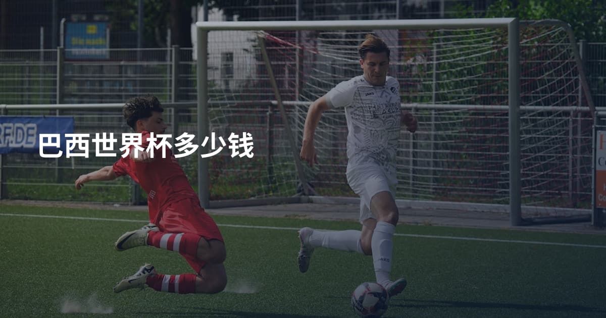 巴西世界杯多少钱