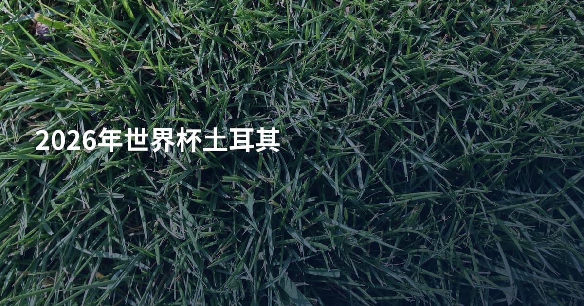 2026年世界杯土耳其