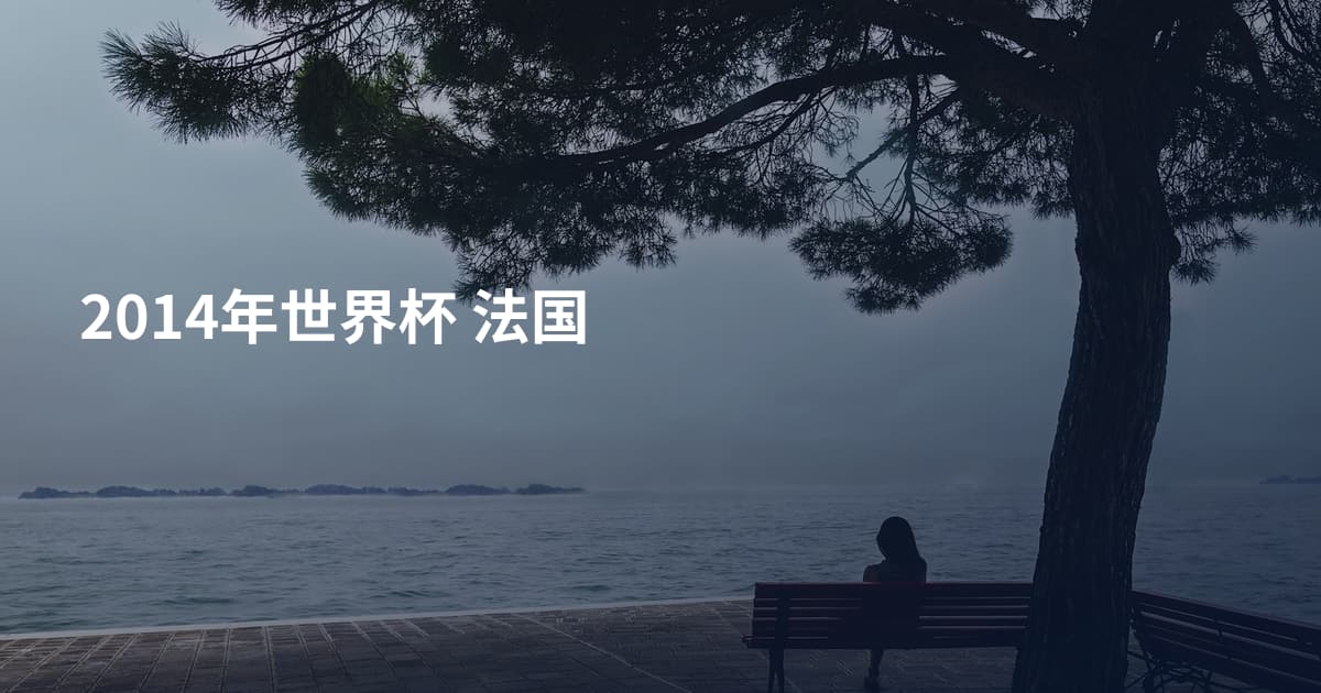 2014年世界杯 法国