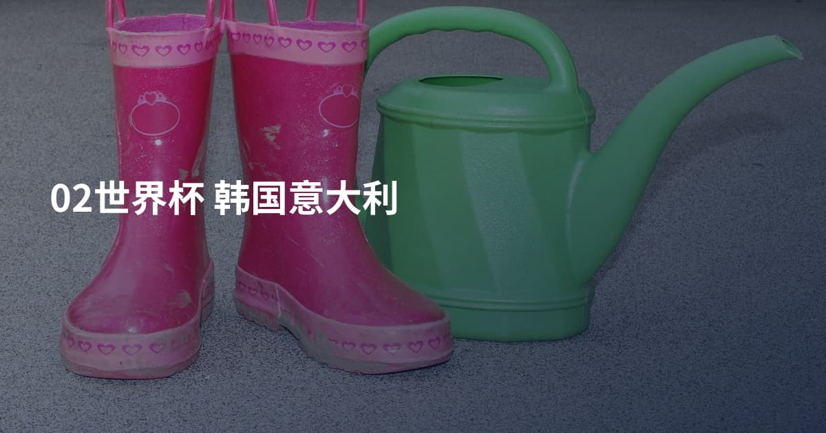 02世界杯 韩国意大利