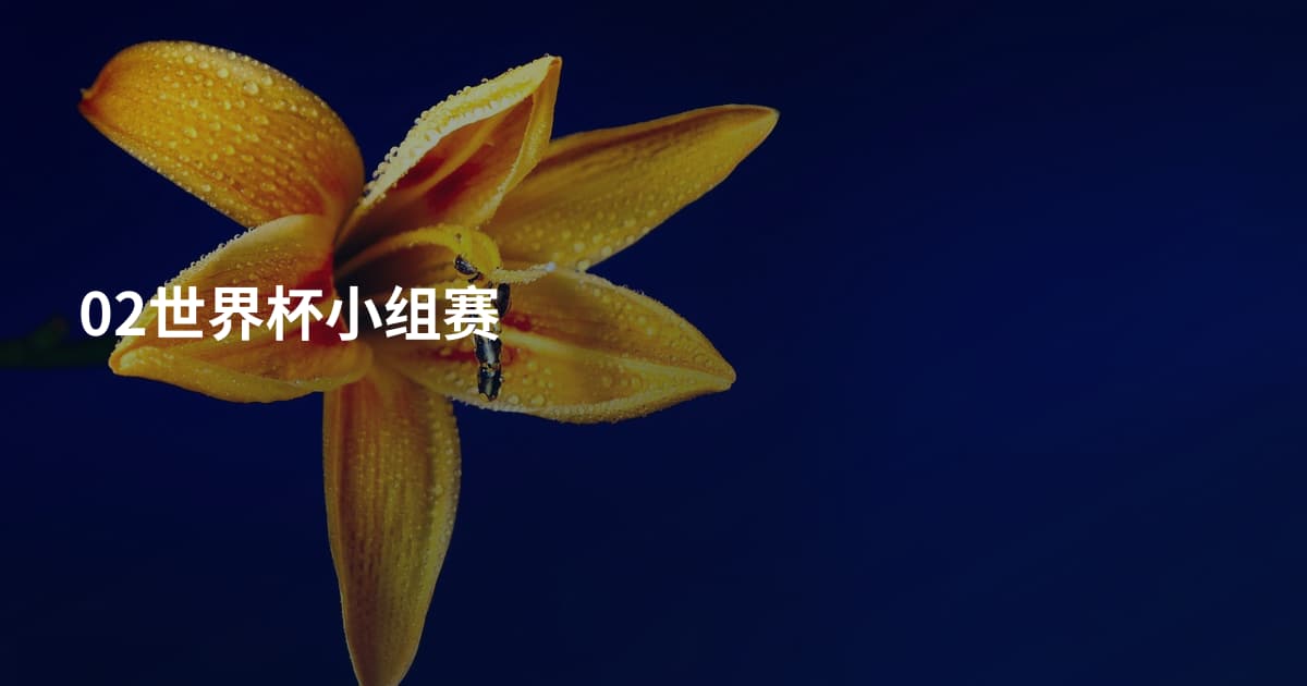 02世界杯小组赛